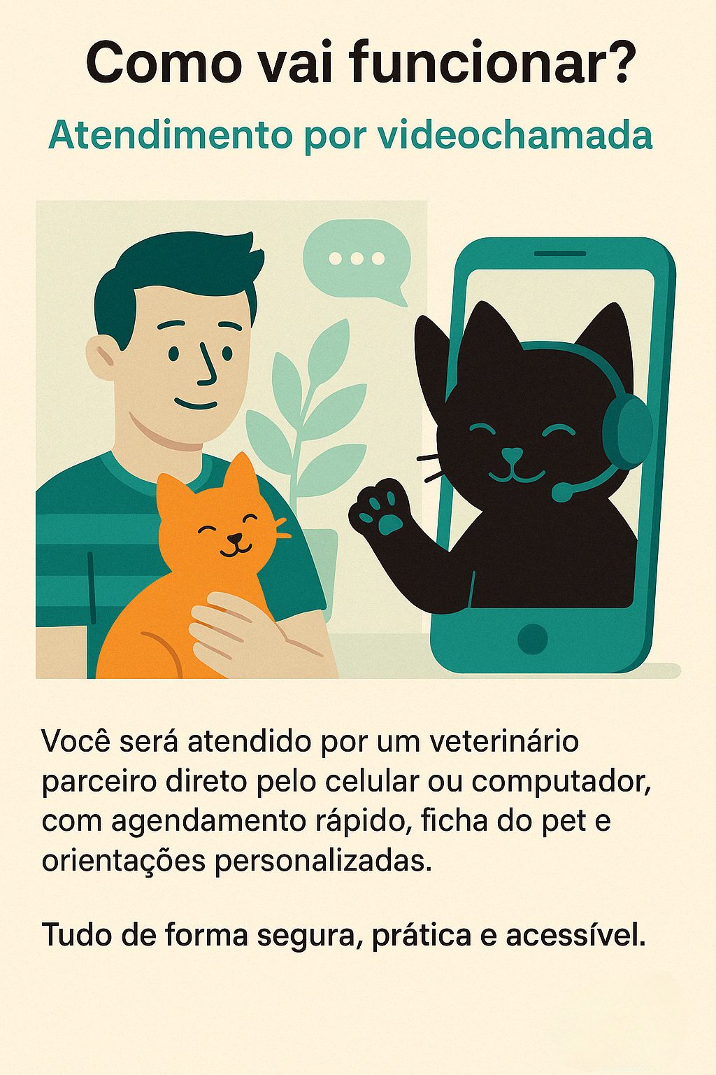 Como vai funcionar?