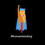 Profile picture for user admin
